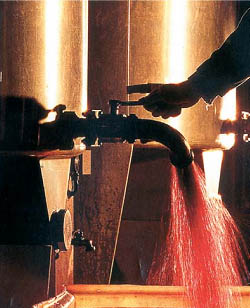 Vinification